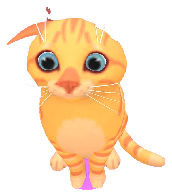 Tiny the orange tabby cat, eyes wide, sitting very still